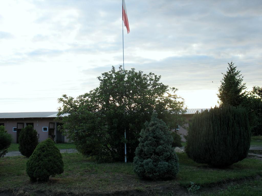 Apartamenty Stajni Jazon Malbork Extérieur photo